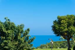 Ocean Views! Tropical Pool, Pickelball, Playground - Image 3