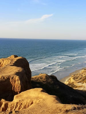 Cardiff Reef