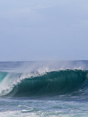 Black's Beach