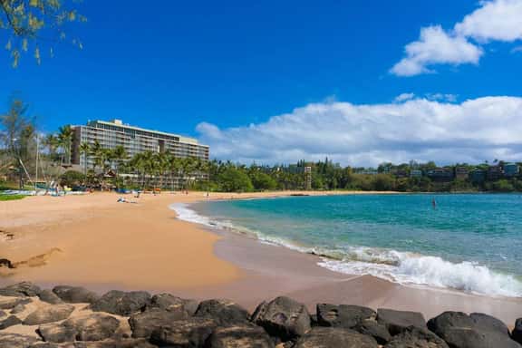 Ocean View Paradise | Steps to the Beach & Dukes! - Image 1
