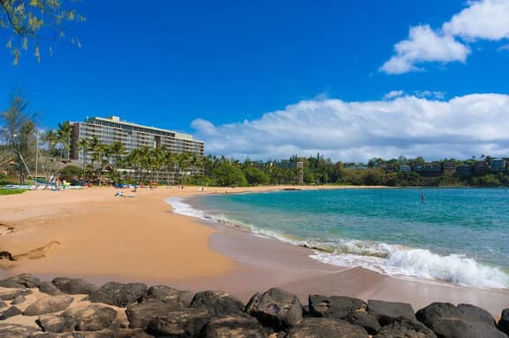 Ocean View Paradise | Steps to the Beach & Dukes! - Image 1