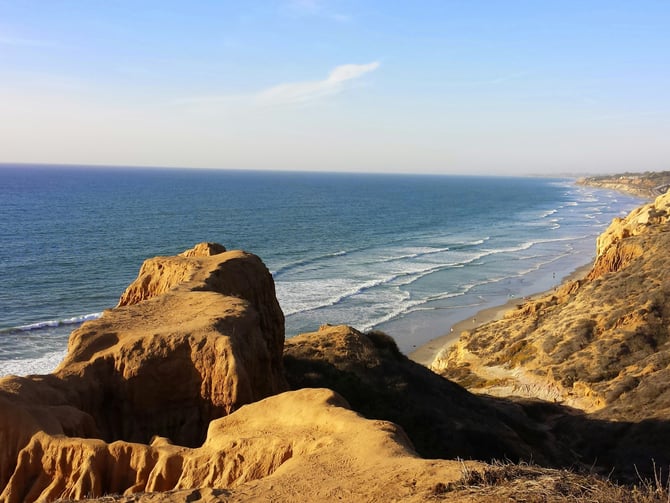 Torrey Pines Reserve