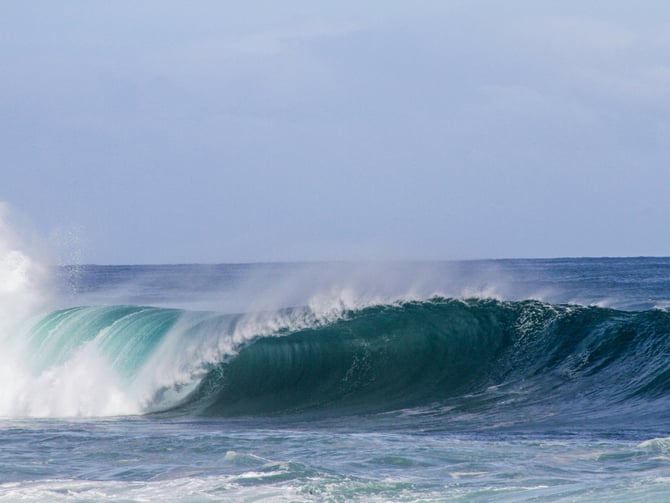 Surfline San Diego